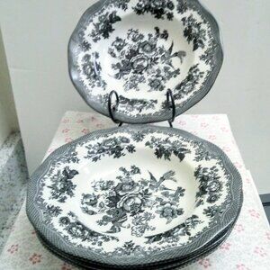 2 TWO Asiatic Pheasant Johnson Brothers rimmed soup bowls or Small Pasta